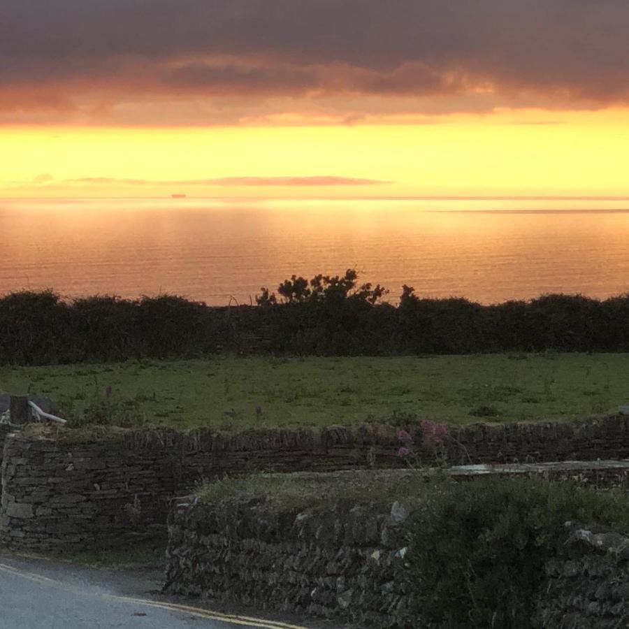 Pendrin Guest House Tintagel Eksteriør billede